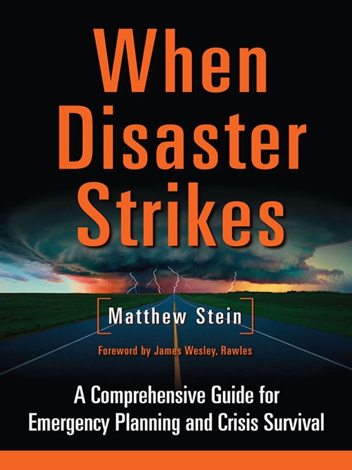 Title details for When Disaster Strikes by Matthew Stein - Available